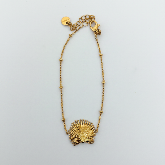 Bracelet Coquillage fond blanc