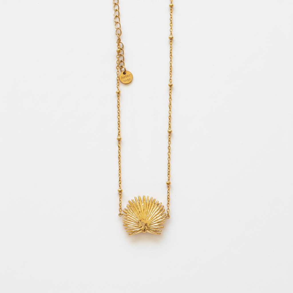 Collier Coquillage fond blanc
